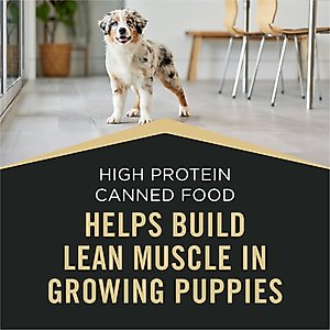 Purina Pro Plan Sport Development Puppy High Protein Beef & Rice Entrée & Chicken & Rice Entrée Variety Pack Wet Dog Food, 13-oz can, case of 12