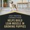 Show in main carousel: Purina Pro Plan Sport Development Puppy High Protein Beef & Rice Entrée & Chicken & Rice Entrée Variety Pack Wet Dog Food, 13-oz can, case of 12 slide 7 of 12