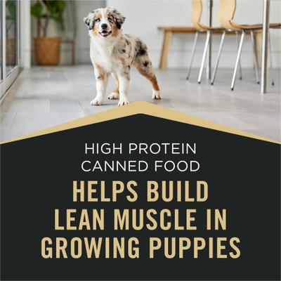 Show full view: Purina Pro Plan Sport Development Puppy High Protein Beef & Rice Entrée & Chicken & Rice Entrée Variety Pack Wet Dog Food, 13-oz can, case of 12 slide 7 of 12