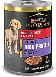 Purina Pro Plan Sport Development Puppy High Protein Beef & Rice Wet Dog Food, 13-oz can, case of 12