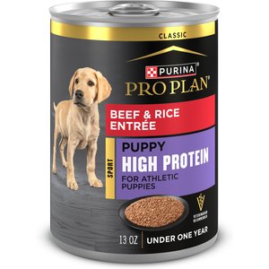 purina pro plan lamb puppy