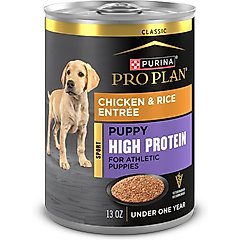 Purina Pro Plan Sport Puppy High Protein Chicken & Rice Wet Dog Food, 13-oz can, case of 12