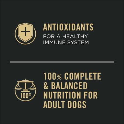 Show full view: Purina Pro Plan Sport High Protein Turkey, Duck & Quail Entrée Wet Dog Food, 13-oz can, case of 12 slide 10 of 11