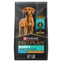 Purina Pro Plan High Protein Chicken & Rice Formula Large Breed Dry Puppy Food, 47-lb bag