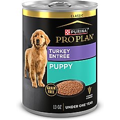 Purina Pro Plan Development Puppy Classic Turkey Entree Grain-Free Canned Dog Food, 13-oz, case of 12