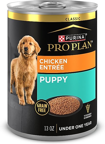 When Can You Switch Puppies to Adult Dog Food: Essential Guide