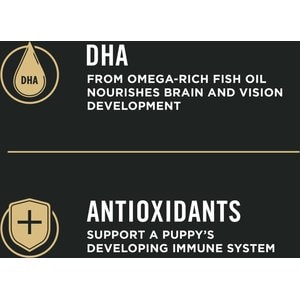 Purina Pro Plan Puppy Shredded Blend Chicken & Rice Formula with Probiotics Dry Dog Food, 6-lb bag