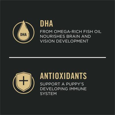 Show full view: Purina Pro Plan High Protein DHA Lamb & Rice Formula Puppy Food, 6-lb bag slide 5 of 12