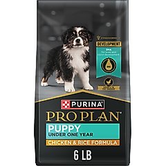 Purina Pro Plan High Protein Chicken & Rice Formula Dry Puppy Food, 6-lb bag