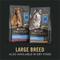 Show in main carousel: Purina Pro Plan Specialized Adult Large Breed Beef & Rice Entree Canned Dog Food, 13-oz, case of 12 slide 9 of 12