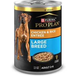 Purina Pro Plan Specialized Adult Large Breed Chicken & Rice Entree Canned Dog Food, 13-oz, case of 12