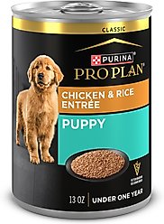 Purina Pro Plan Development Puppy Chicken & Rice Entree Canned Dog Food, 13-oz, case of 12