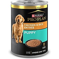 Purina Pro Plan Development Puppy Chicken & Rice Entree Canned Dog Food, 13-oz, case of 12