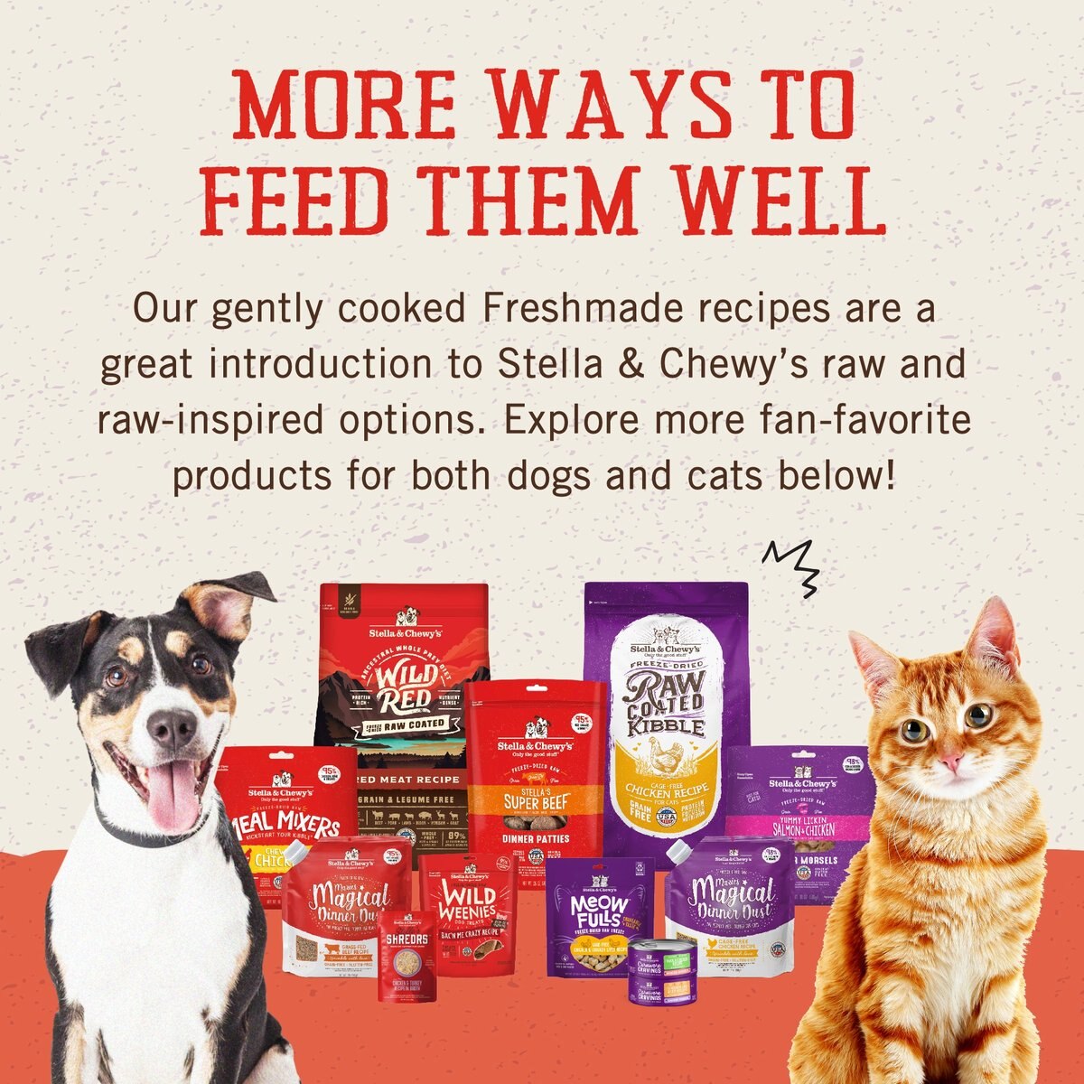 STELLA & CHEWY'S FreshMade Frozen Fresh High Protein Beef, Barley