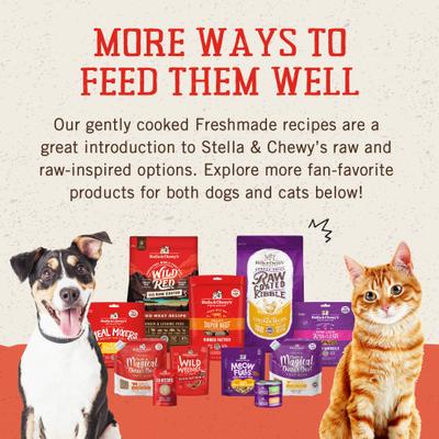 Show full view: Stella & Chewy's FreshMade Frozen Fresh Grain-Free Beefy-Licious Dog Food, 64-oz bundle  slide 7 of 11