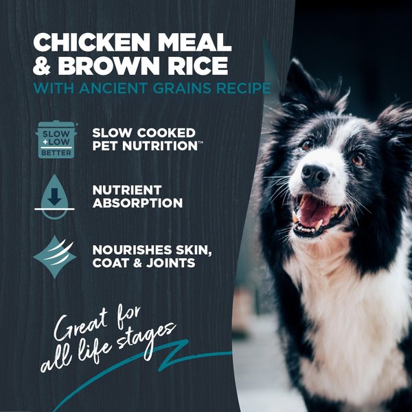Blackwood Complete & Balanced Diet Adult Chicken Meal & Brown Rice with Ancient Grains Recipe Dry Dog Food