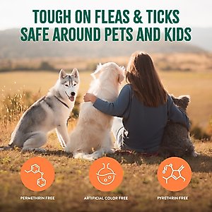 TropiClean Natural Flea & Tick Treatment Spray for Dogs, Citrus Scent, 16-fl oz bottle