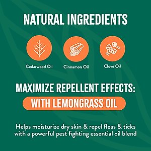 TropiClean Natural Flea & Tick Treatment Spray for Dogs, Citrus Scent, 16-fl oz bottle