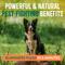 Show in main carousel: TropiClean Natural Flea & Tick Treatment Spray for Dogs, Citrus Scent, 16-fl oz bottle slide 4 of 10