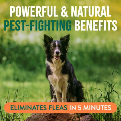 Show full view: TropiClean Natural Flea & Tick Treatment Spray for Dogs, Citrus Scent, 16-fl oz bottle slide 4 of 10