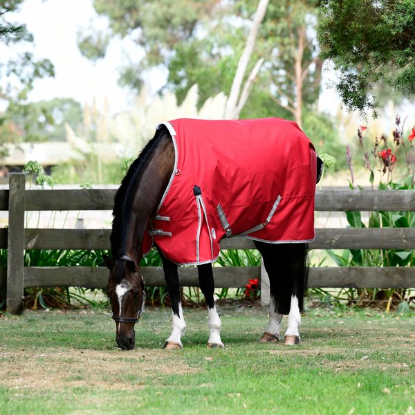 WeatherBeeta Comfitec Plus Dynamic Standard Neck Lite Horse Blanket