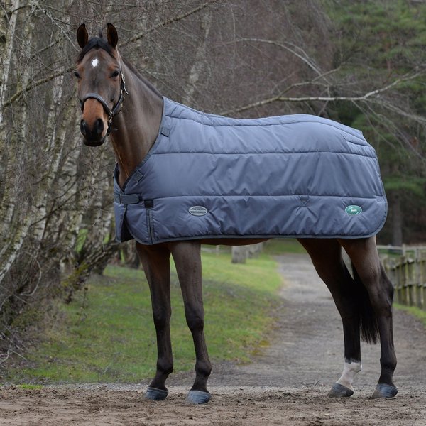 WEATHERBEETA Green-Tec Liner Heavy Horse Liner, Gray, 57-in - Chewy.com