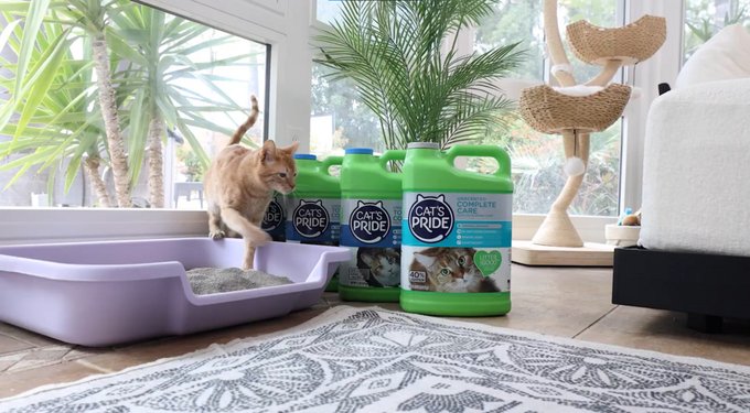 Cat's Pride Pure & Fresh Lightweight Fresh Scent Multi-Cat Clumping Litter