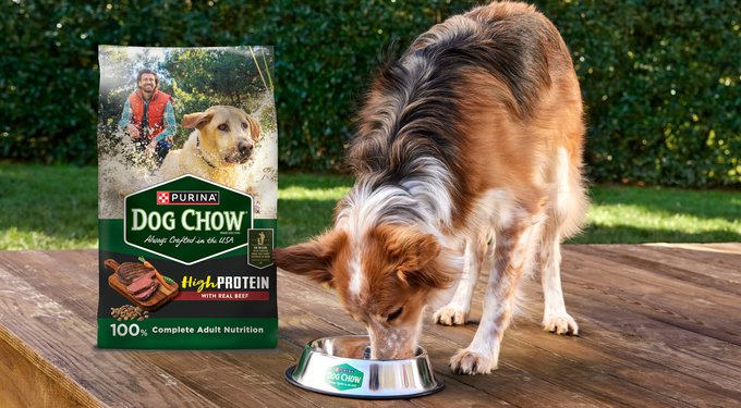 Dog Chow Complete Adult with Beef Flavor Dry Dog Food