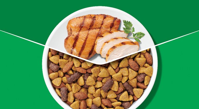 Dog Chow Complete Adult with Beef Flavor Dry Dog Food