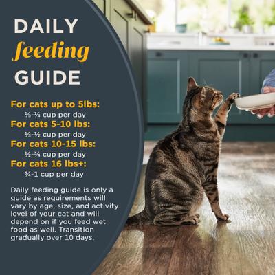 Show full view: Reveal Natural Complete & Balanced Grain-Free Whitefish Recipe Dry Cat Food, 3-lb bag slide 7 of 12