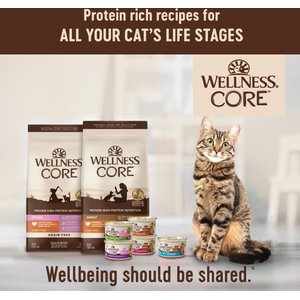 Wellness CORE Signature Selects Poultry Selection Variety Pack Canned Cat Food, 2.8-oz, case of 8