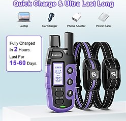 Bousnic Waterproof Dog Training Collar, Purple, 2 count slide 2 of 7