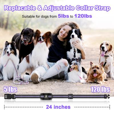 Show full view: Bousnic Waterproof Dog Training Collar, Purple, 2 count slide 6 of 8