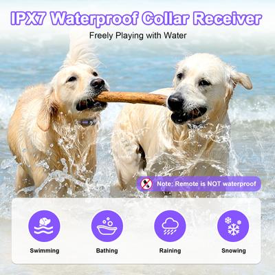 Show full view: Bousnic Waterproof Dog Training Collar, Purple, 2 count slide 4 of 8