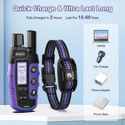 Bousnic Waterproof Dog Training Collar, Purple, 1 count slide 2 of 7