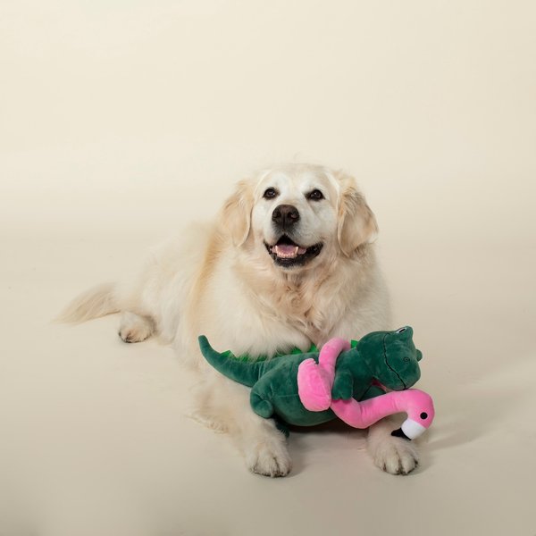 PETSHOP BY FRINGE STUDIO Bone To Be Wild Plush Dog Toy