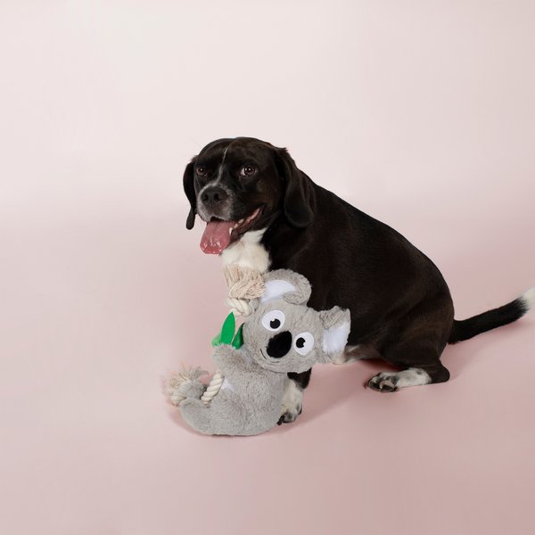 PETSHOP BY FRINGE STUDIO Just A Little Crabby Squeaky Plush Dog Toy