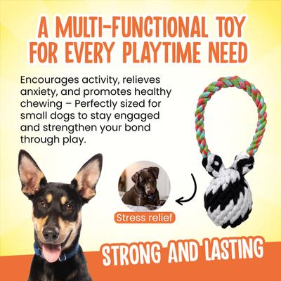 Show full view: Scoochie Pet Super Scooch Squeaker Bear Rope Dog Tug Toy, Small slide 3 of 5