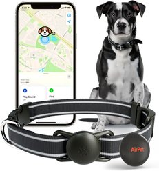 Airpet Locator Tag with Collar Holder Silicone Dog Collar, Black, 8 to 10-in neck, 1-in wide