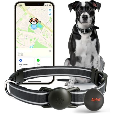 Airpet Airpet Locator Tag with Collar Holder Silicone Dog Collar, Black, 8 to 10-in neck, 1-in wide