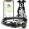 Show in main carousel: Airpet Locator Tag with Collar Holder Silicone Dog Collar, Black, 8 to 10-in neck, 1-in wide slide 1 of 8