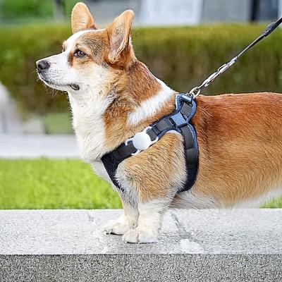 Show full view: Airpet Locator Tag with Collar Holder Reflective Silicone Dog Collar, White, 10 to 14-in neck, 1-in wide slide 2 of 5