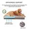Show in main carousel: LFC PETS Orthopedic Memory Foam Dog & Cat Bed with Removable Cover, Grey, Medium slide 3 of 10