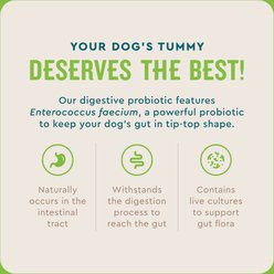 VetIQ Chicken Flavored Probiotic Powder Supplement for Dogs & Puppies, 30 count slide 2 of 7