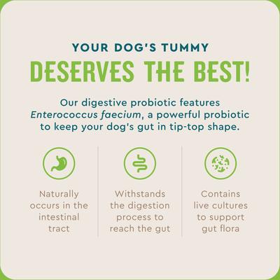 Show full view: VetIQ Chicken Flavored Probiotic Powder Supplement for Dogs & Puppies, 30 count slide 5 of 9