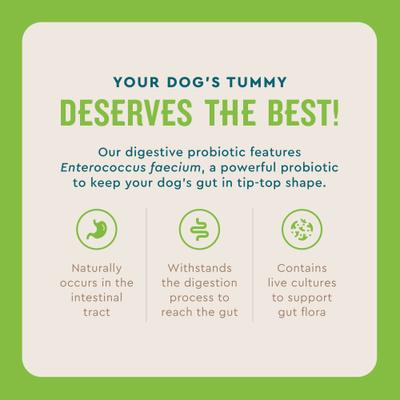 Show full view: VetIQ Chicken Flavored Probiotic Powder Supplement for Dogs & Puppies, 30 count slide 4 of 8