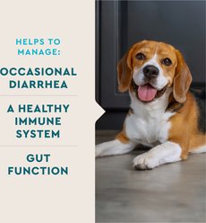 VetIQ Chicken Flavored Probiotic Powder Supplement for Dogs & Puppies, 30 count slide 2 of 7