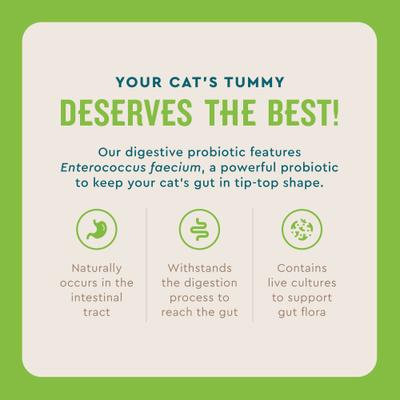 Show full view: VetIQ Chicken Flavored Probiotic Powder Supplement for Cats & Kittens, 30 count slide 4 of 8