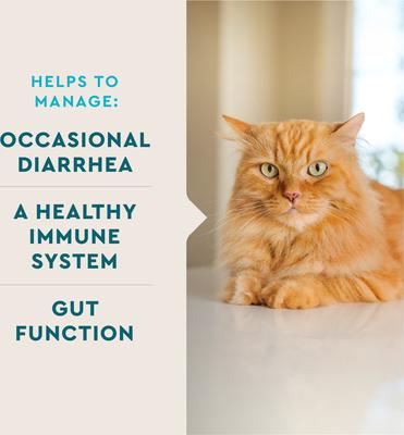 Show full view: VetIQ Chicken Flavored Probiotic Powder Supplement for Cats & Kittens, 30 count slide 4 of 9