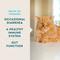 Show in main carousel: VetIQ Chicken Flavored Probiotic Powder Supplement for Cats & Kittens, 30 count slide 3 of 8